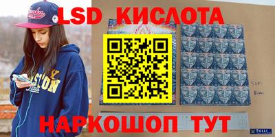 спайс Гусев