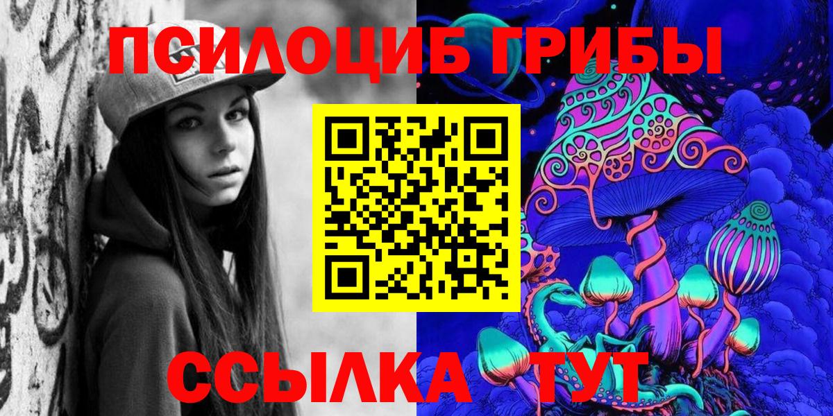 Псилоцибиновые грибы Psilocybe Нальчик