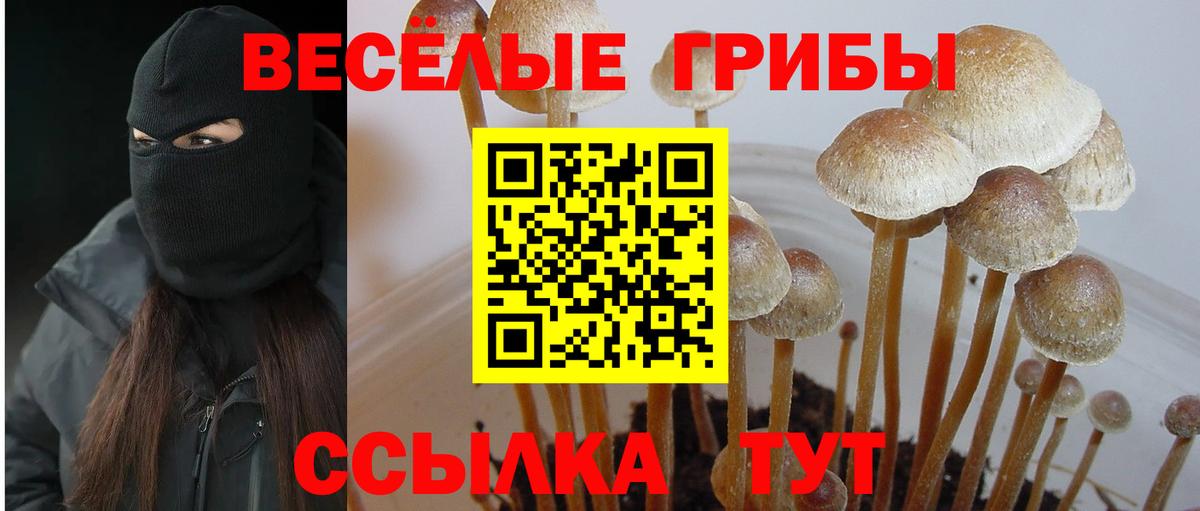 Галлюциногенные грибы Magic Shrooms  купить наркотики сайты  Нальчик  Вход с VPN 